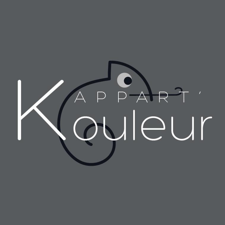 L'Appart K-Ouleur- Wifi Fibre-Checkin Auto- 2 Pers Le Mans Ngoại thất bức ảnh